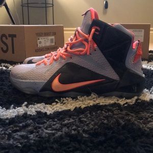 Rare Lebron 12 Easter